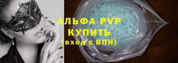 молекула духа Пестово