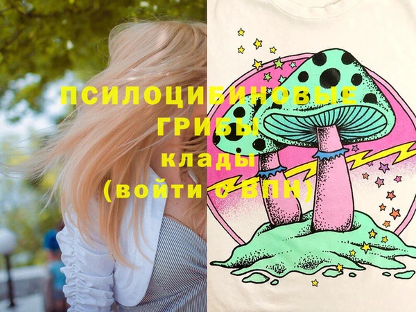 гидропоника Балабаново