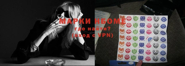 молекула духа Пестово