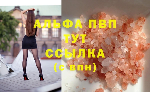 молекула духа Пестово